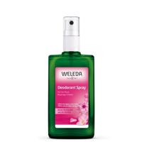 Weleda Wilde Rozen Deodorant Spray 100ml - thumbnail