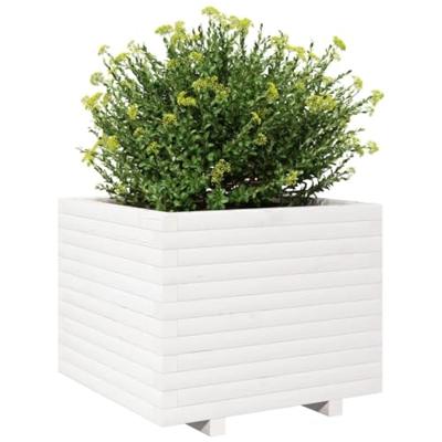 Plantenbak 60x60x49,5 cm massief grenenhout wit Plantenbak 60x60x49,5 cm massief grenenhout wit