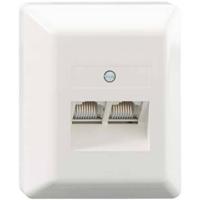 Rutenbeck UAE 2x8(8) Ap rw Netwerkdoos Opbouw (op muur) Inzet met centraalstuk en frame CAT 3 Zuiver wit - thumbnail