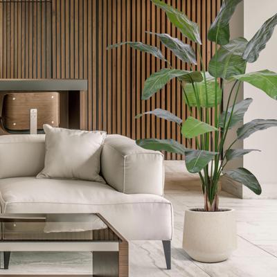 Strelitzia Nicolai deluxe Kunstpalm 200cm in pot