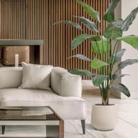 Strelitzia Nicolai deluxe Kunstpalm 200cm in pot - thumbnail