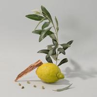 Compagnie De Provence Olive Wood Hand Cream - thumbnail