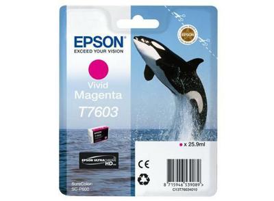 Originele inktcartridge Epson C13T76034N10 Multicolour Magenta