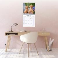 Vizsla Kalender 2026 - thumbnail