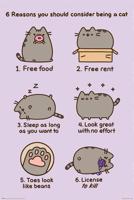 Poster Pusheen Reasons to be a Cat 61x91,5cm - thumbnail