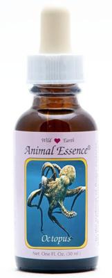Animal Essences Octopus 30 Milliliter Animal Essences Octopus 30 Milliliter