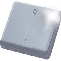 Eltako FMH2-wg Handzender Draadloos 2-kanaals Opbouw (op muur) Bereik max. (in het vrije veld) 30 m - thumbnail