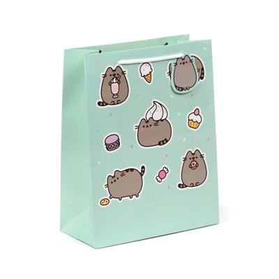 Pusheen de Kat Core Cadeautasje Large