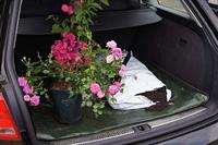 Connex Afdekzeil 2X3M Pp/Pe Profi 100G - FLOR80400 - thumbnail