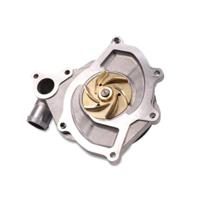 Waterpomp P599 - thumbnail