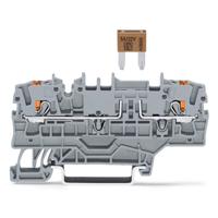 WAGO 2202-1981 Zekeringklem 50 stuk(s) - thumbnail