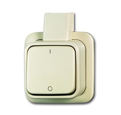 Busch Jaeger opbouw 2-polige schakelaar creme