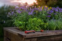 WOLF-Garten multi-star LA-M /ZM 015 handkrabber - thumbnail