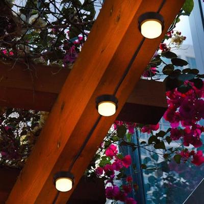 10 mini-lichtspots op zonne-energie om in te voegen - LUMISKY - SOLIRAY - 12 m - Warm witte LED - Wegmarkering 10 mini-lichtspots op zonne-energie om in te voegen - LUMISKY - SOLIRAY - 12 m - Warm witte LED - Wegmarkering