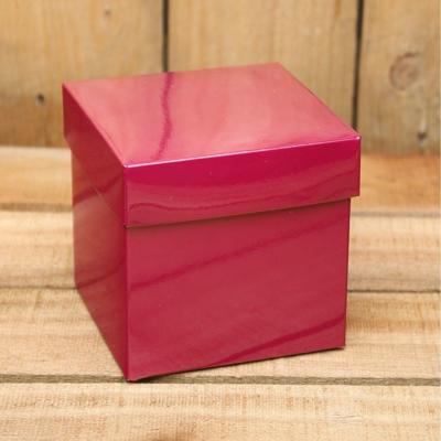 Bonbon doosjes - Chocolade doosje - Framboos 156 - 24 stuks