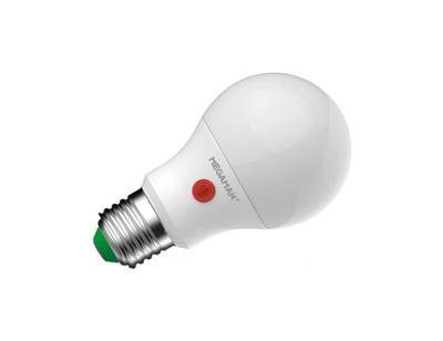 Megaman Ledlamp - e27 - 810 lm - bol - a60 - mat - sensor
