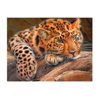 Diamond painting dieren - super aanbieding met korting - thumbnail