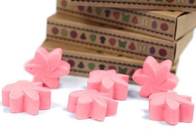 Japanse Magnolia Set van 6 Waxmelts
