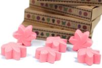 Japanse Magnolia Set van 6 Waxmelts - thumbnail