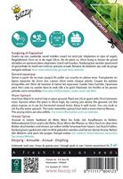 Zaden Xotica Kankong Waterspinazie of Dagoeblad Buzzy - Buzzy - thumbnail