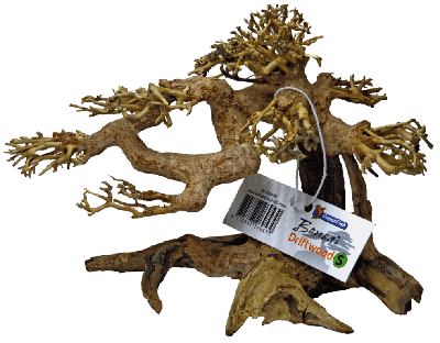 Superfish Bonsai Driftwood S - Klein Decoratief Aquarium Hout voor Aquascaping