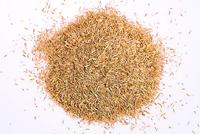 WOLF-Garten 3820010 Premiumgras schaduw & zon LP10 1 stuk(s) - thumbnail