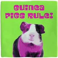 Plenty Gifts tegeltje keramiek guinea pigs rule 10x10cm groen - thumbnail