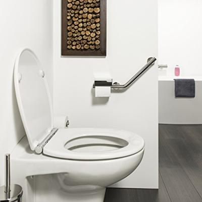 Tiger Veiligheidsgreep met Toiletrolhouder Boston Comfort en Safety Rechts RVS Glans