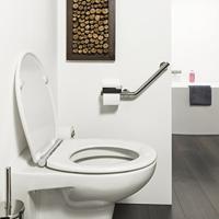 Tiger Veiligheidsgreep met Toiletrolhouder Boston Comfort en Safety Rechts RVS Glans - thumbnail