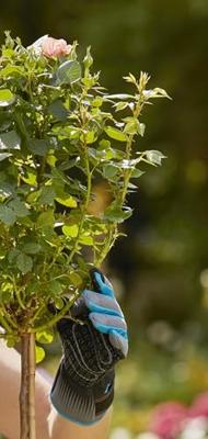 GARDENA 11540-20 Tuinhandschoen Maat (handschoen): 8 1 paar - thumbnail