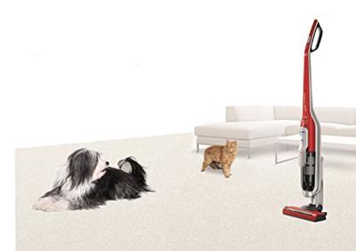 Bosch Haushalt BCH6ZOOO Zooo 25.2V ProAnimal BCH6ZOOO Accu-handstofzuiger 25.2 V Zuigborstel met motor