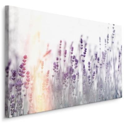 Schilderij - Lavendel in zonsondergang , Wanddecoratie , Premium print
