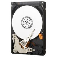 Western Digital AV-25 500 GB Harde schijf (2.5 inch) SATA II WD5000LUCT Bulk - thumbnail