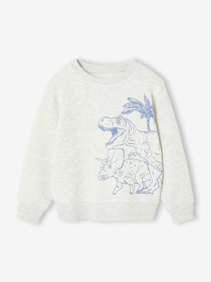 Fantasie sweater voor jongens gemêleerd wit