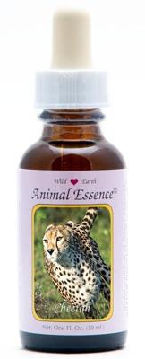 Animal Essences Cheetah (jachtluipaard) 30 Milliliter Animal Essences Cheetah (jachtluipaard) 30 Milliliter