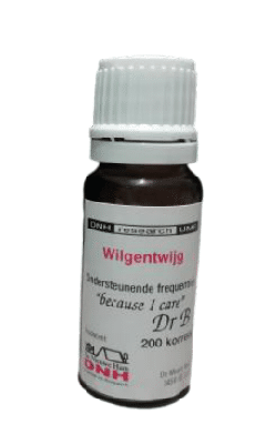 DNH Wilgentwijg 200 Stuks
