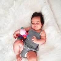 Rammelaar Playgro Clip Clop Clopette Pink - thumbnail