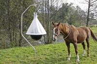 Dazenval taonx compleet - thumbnail