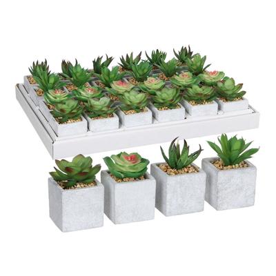 Decoratieve plant Mica Decorations 8 x 5 cm Groen PVC Vetplant