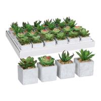 Decoratieve plant Mica Decorations 8 x 5 cm Groen PVC Vetplant - thumbnail