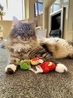 Yeowww! Jug with 30 Kitten Mittens - thumbnail