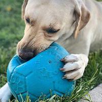 JOLLY SOCCER BALL BLAUW 20 CM - thumbnail