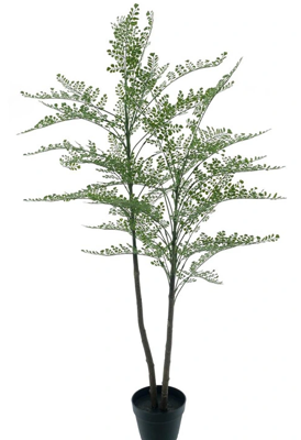 Maidenhair fern Cuba in pot green 140 cm kunstbloem Erutan Avon - Erutan avon Maidenhair fern Cuba in pot green 140 cm kunstbloem Erutan Avon - Erutan avon