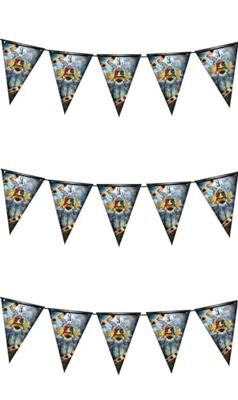 Magical School Vlaggenlijn Harry (3m)