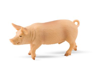 Bullyland zwijn (62310)