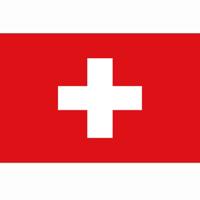 Vlag Zwitserland - thumbnail