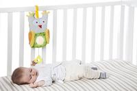 Musical sleepy owl - thumbnail