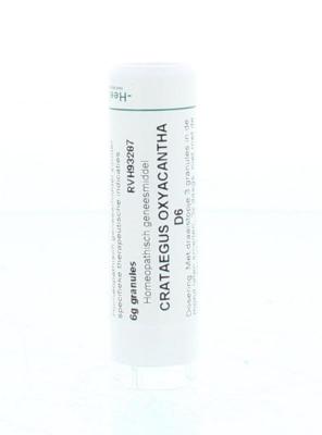 Homeoden Heel Crataegus oxyacantha D6 6 Gram