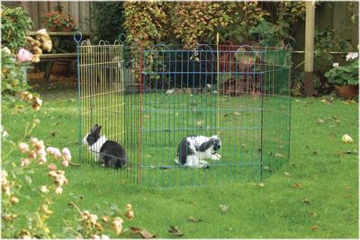 Konijnenren 6 panelen