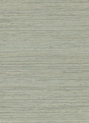 Emil & Hugo Naturalis 213767